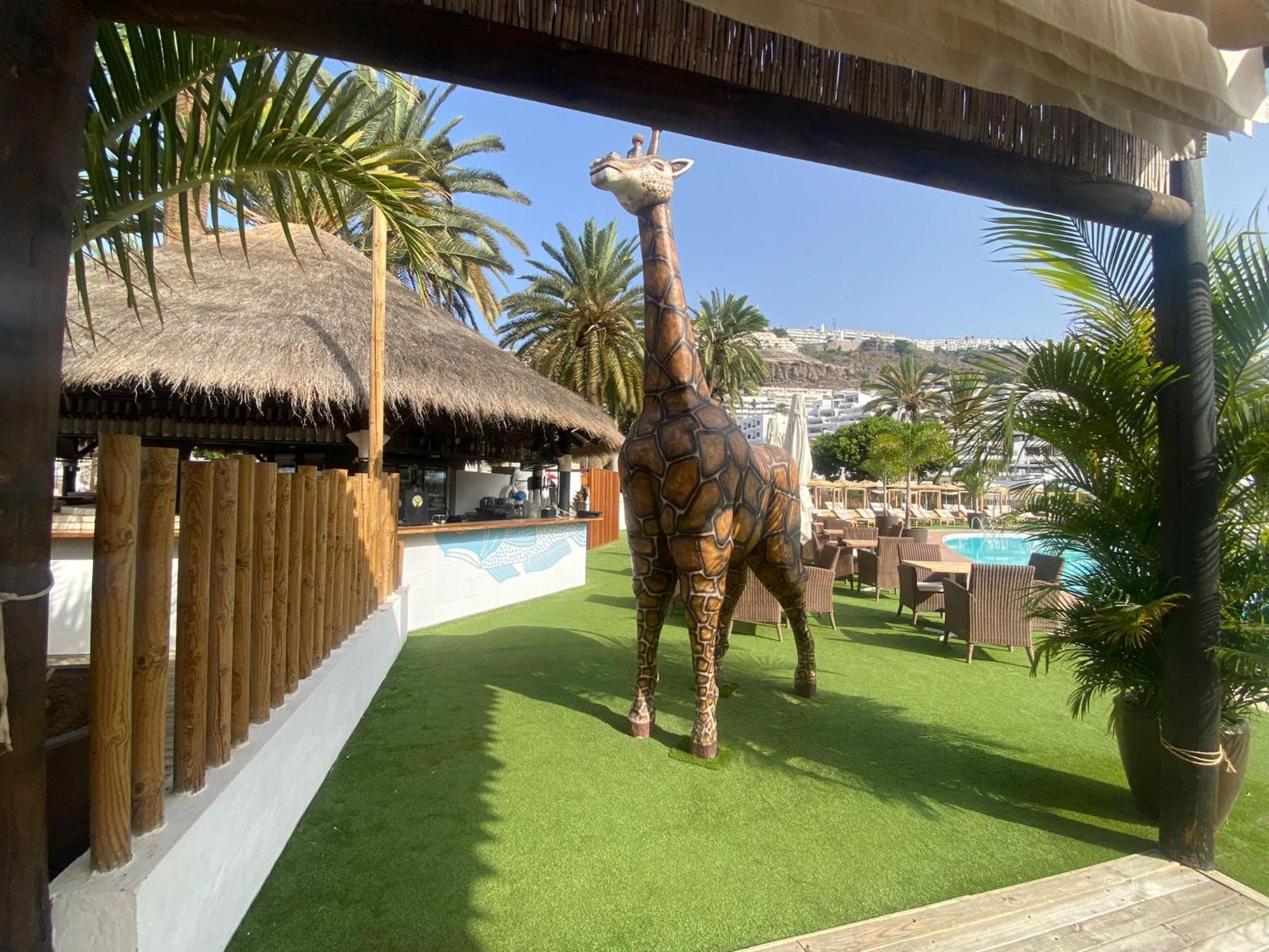 Cozy Modern House, In A Complex With A Swimming Pool Puerto Rico (Gran Canaria)